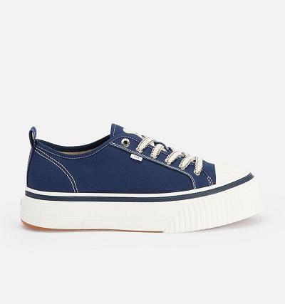 Women's Ami Paris Low Top Ami 1980 Sneakers Navy | ami-MY351