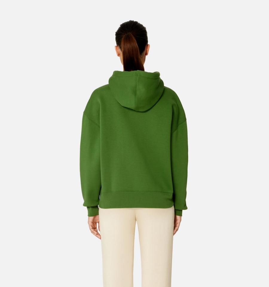 Women's Ami Paris Ami de Coeur Hoodies Green | ami-MY602